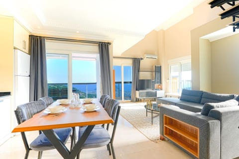 Living room, kitchen