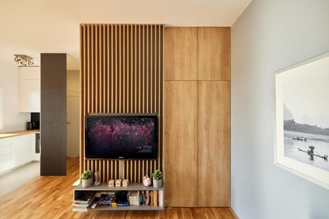 TV and multimedia