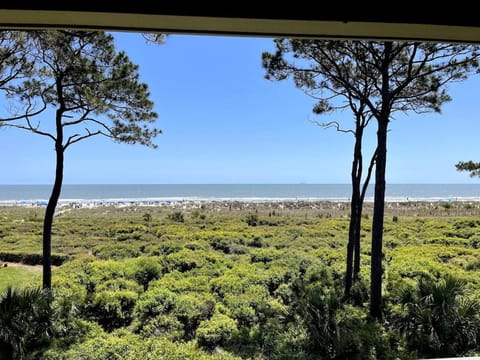 Natural landscape, Sea view
