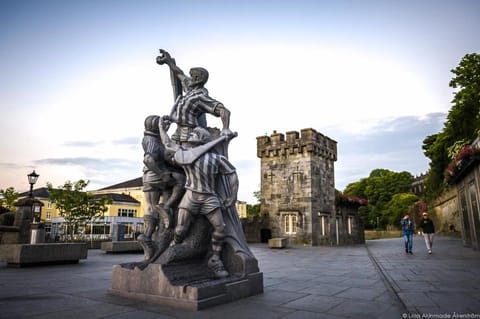 The Folly Group accommodation sleeps 26 House in County Kilkenny