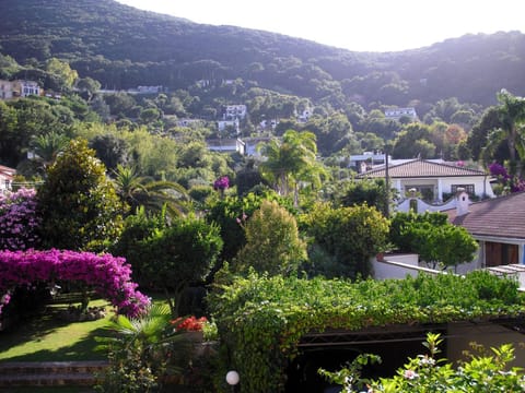 Garden, Garden