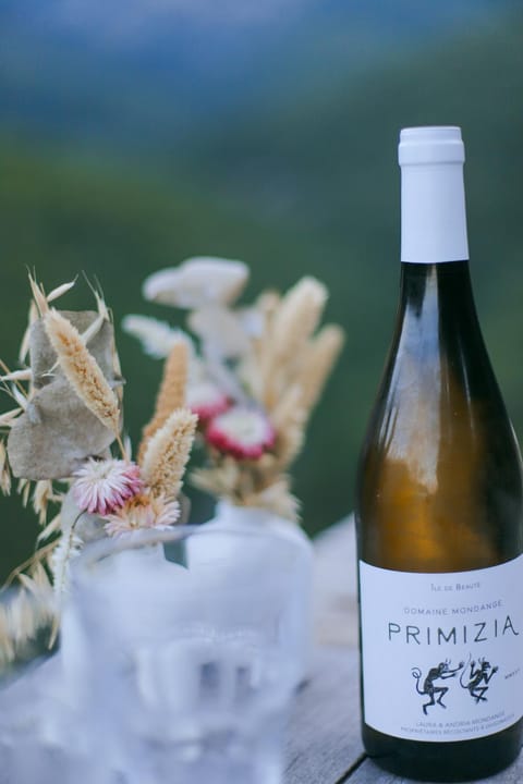 LA PAUSE - 3 villas avec Jacuzzi privatif à chisà House in Corsica