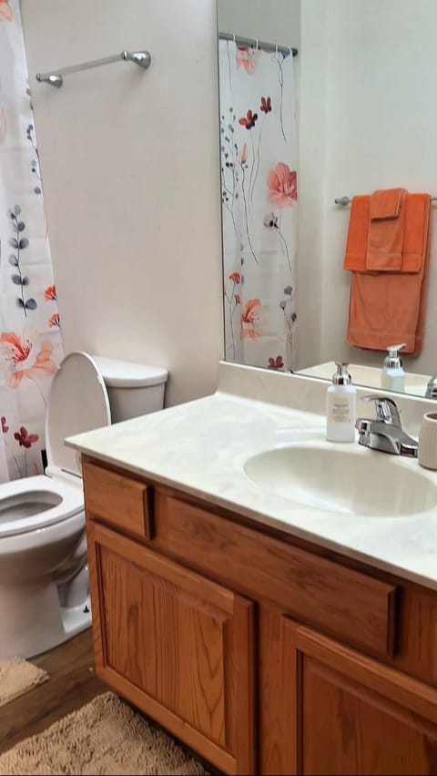 Cozy Home OFallon House in Ozark Mountains