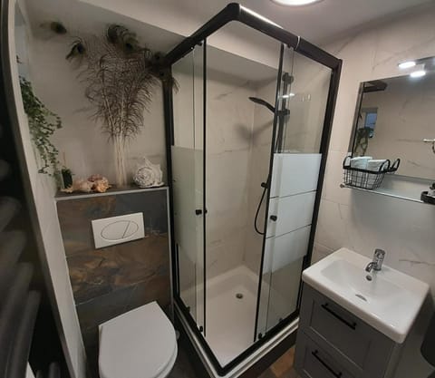 Shower, Toilet, towels