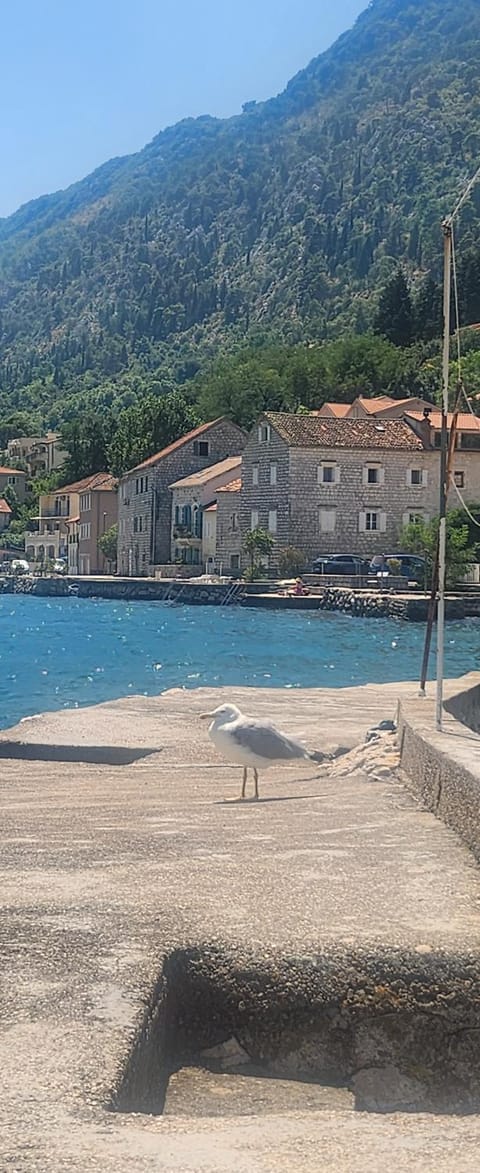 Natural landscape, Beach, Mountain view, Sea view