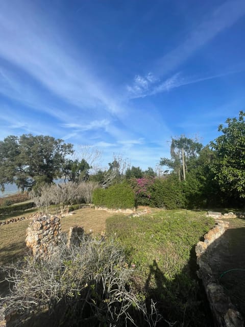 Natural landscape, Garden, Garden, Garden view, Garden view