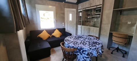 Kitchen or kitchenette, Living room, Seating area, Dining area