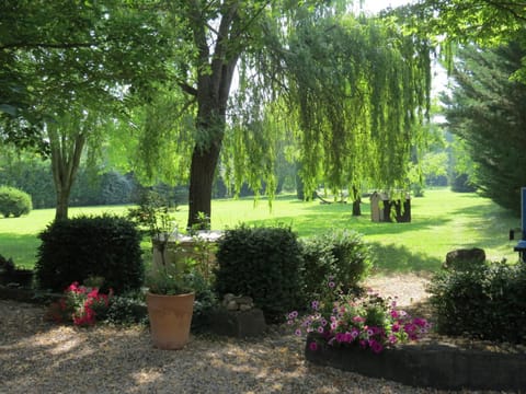 Garden, Garden view