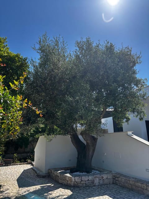 Day, Garden, Garden view