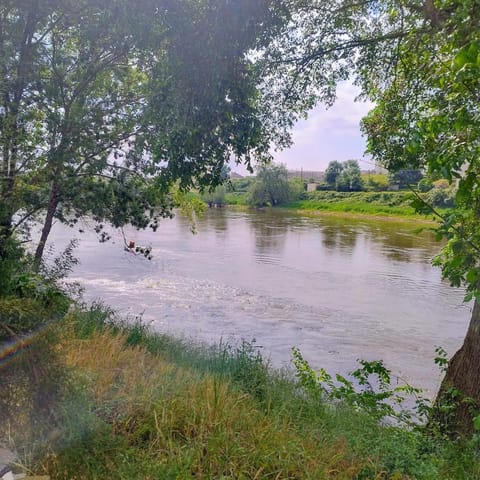 Natural landscape, River view