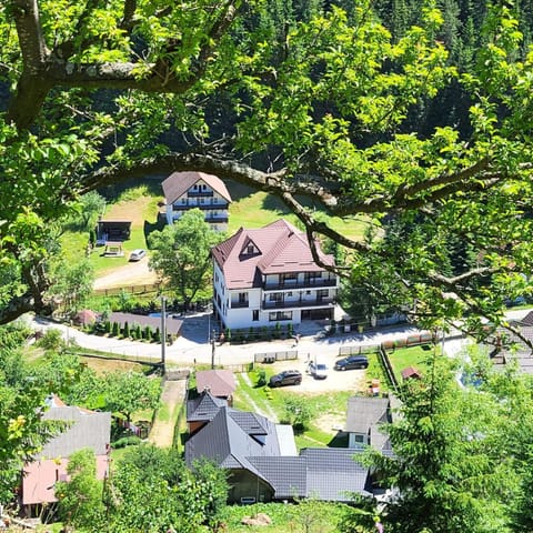 Property building, Bird's eye view