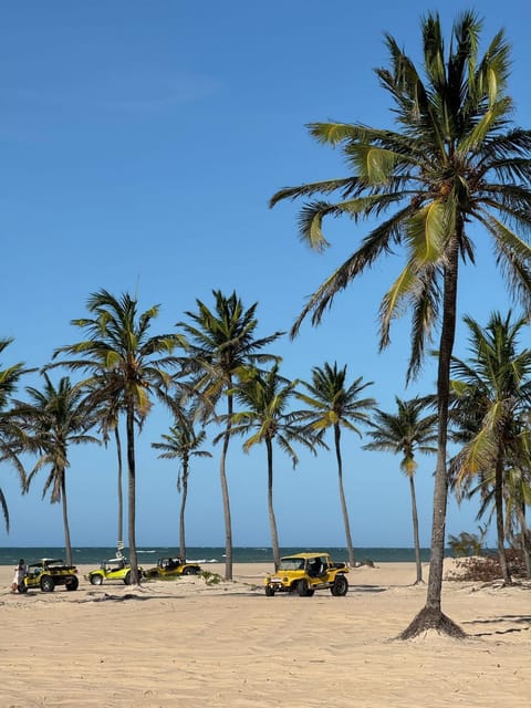 Natural landscape, Beach