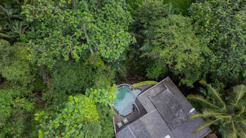 Spring, Day, Natural landscape, Bird's eye view, Garden, Garden view, Swimming pool