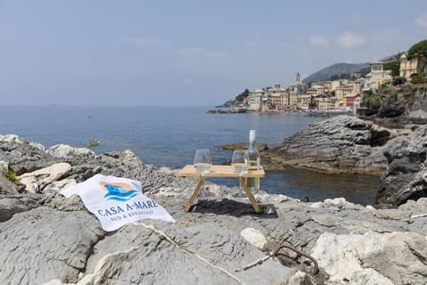 Casa A-Mare Apartment in Bogliasco