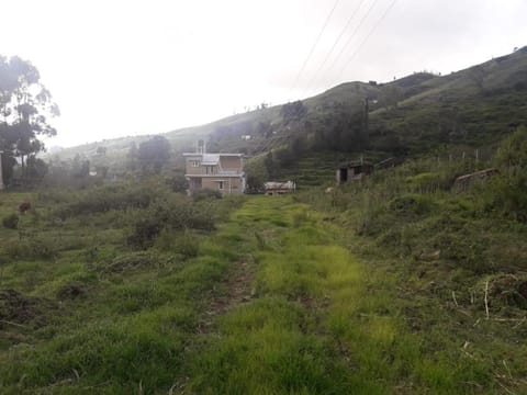 Property building, Natural landscape