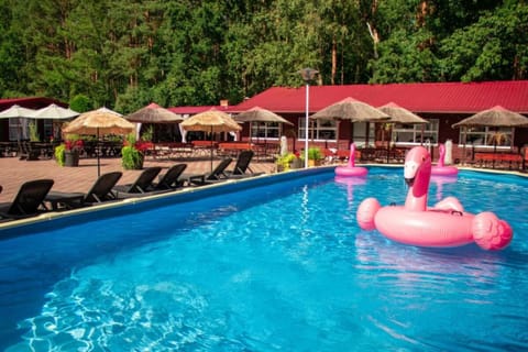 Day, Pool view, Swimming pool, Swimming pool, sunbed