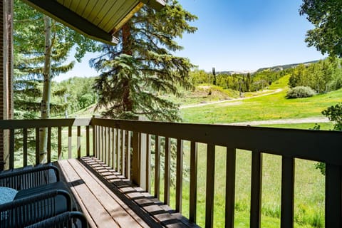 Ski-in Ski-out Interlude 3BR Penthouse Hot Tub House in Snowmass Village