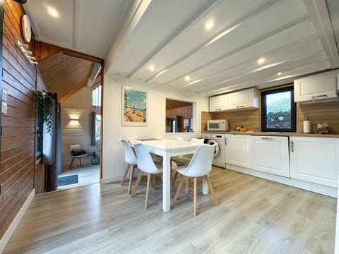 Kitchen or kitchenette, stove, kitchen