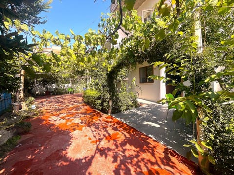 Property building, Patio, Day, Garden, Garden view