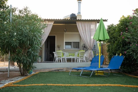 Garden, Garden view, sunbed