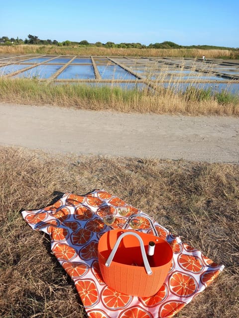 Natural landscape, Other