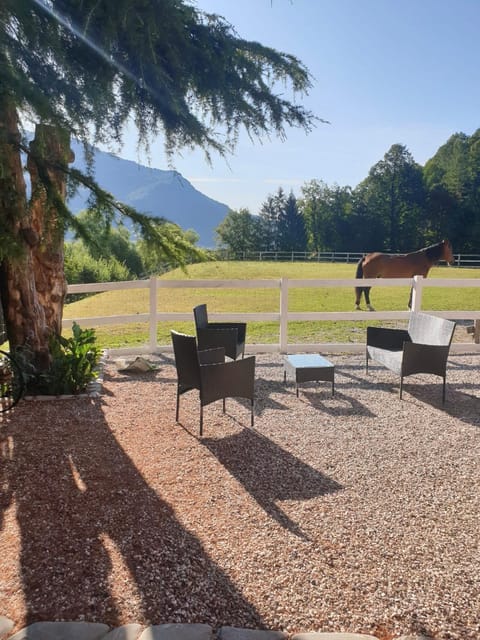 Day, Natural landscape, Garden, Seating area, Mountain view