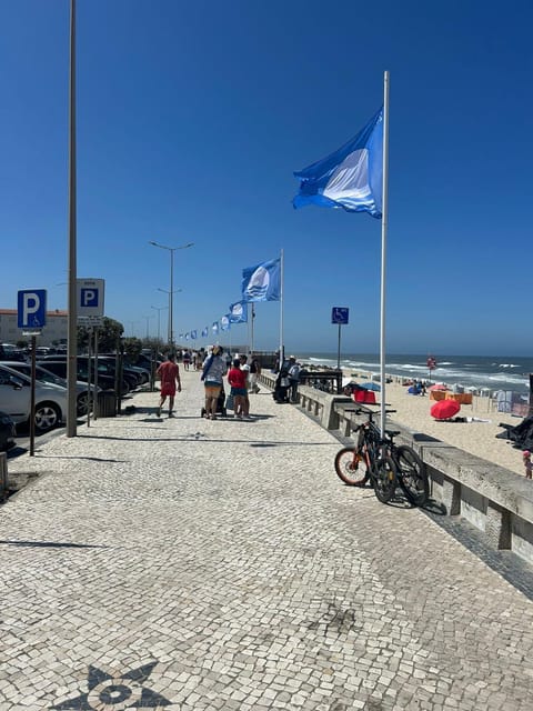 People, Neighbourhood, Beach, group of guests