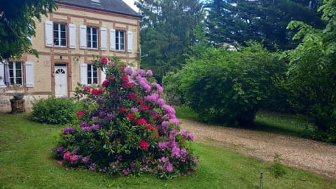 Property building, Natural landscape, Garden, Garden view