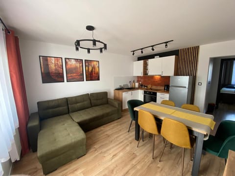 Kitchen or kitchenette, Living room, Seating area, Dining area, oven