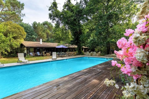 Property building, Living room, Swimming pool