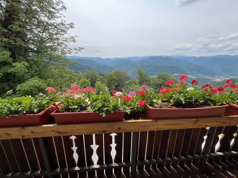 Natural landscape, Mountain view