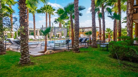 Garden, Garden view, Swimming pool