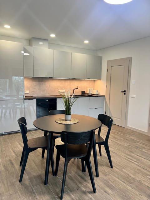 Kitchen or kitchenette, Dining area, oven, stove