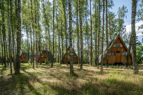 Domki letniskowe w lesie nad jeziorem - Kaszuby, Ośrodek Wczasowy KLIF Nature lodge in Pomeranian Voivodeship