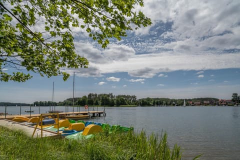 Domki letniskowe w lesie nad jeziorem - Kaszuby, Ośrodek Wczasowy KLIF Nature lodge in Pomeranian Voivodeship