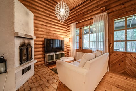 Patio, Kitchen or kitchenette, Living room, Seating area, fireplace, heating, internet, pet friendly