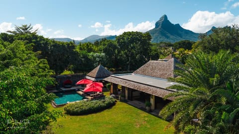 Day, Natural landscape, Garden, Garden view