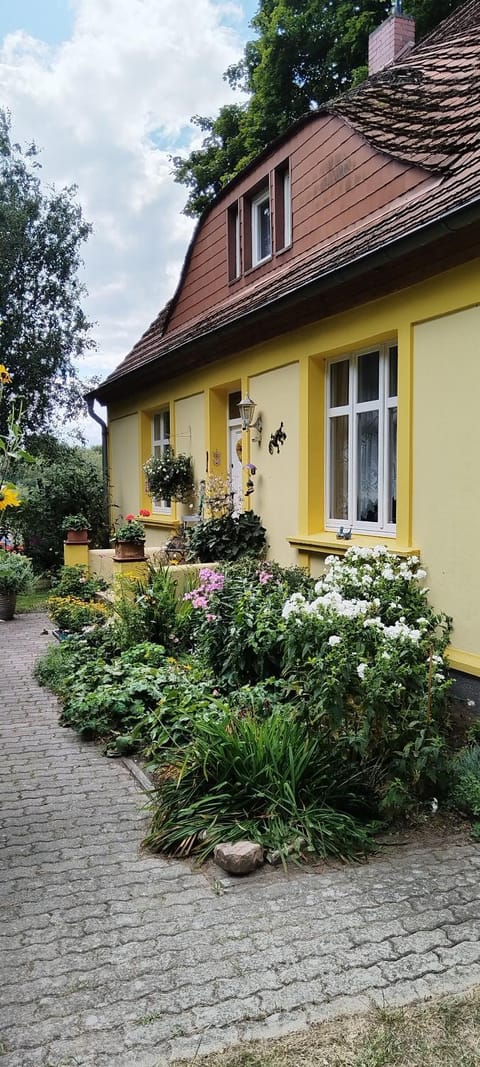 König Apartment in Heringsdorf