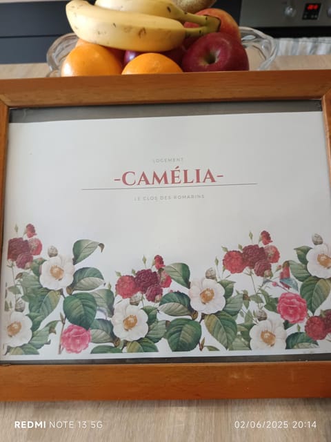 Logo/Certificate/Sign