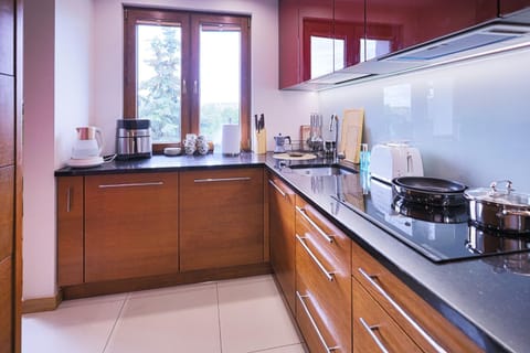 Apartament Chopina Premium Apartment in Lithuania