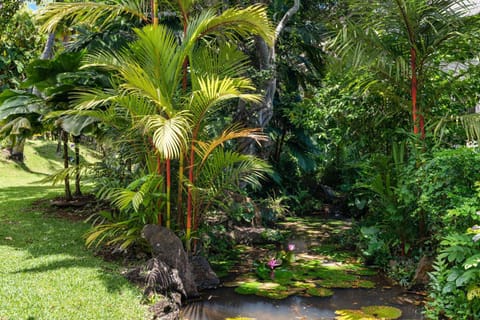 Waikomo Stream 402 House in Poipu