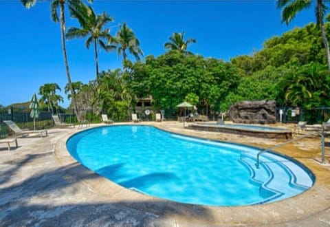 Regency 311 House in Poipu