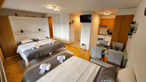 Studio 4103 Les Sources aux Bains d'Ovronnaz Apartment in Canton of Vaud