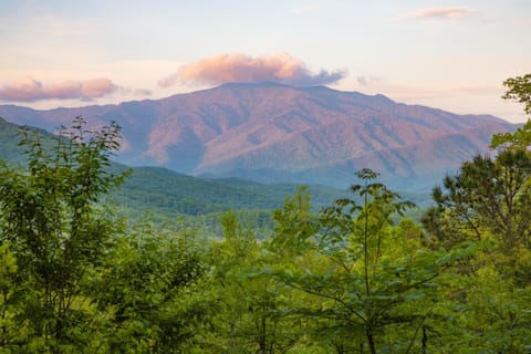Mountain view