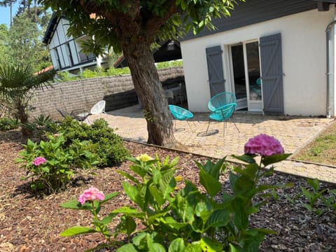 Patio, Garden
