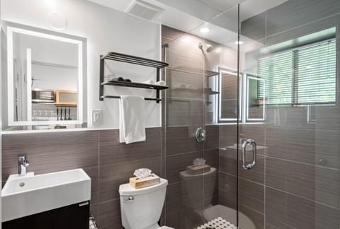 Shower, Toilet, Bathroom, Bath, towels