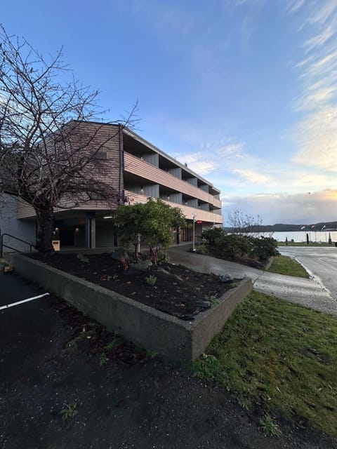 Hotel 19 Hotel in Port Hardy