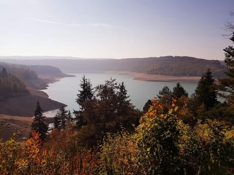 Chalet chaleureux - Cerf Chalet in Jura