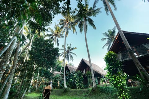 Property building, Spring, Day, Natural landscape, Garden, Garden, Lobby or reception, Hiking, Garden view