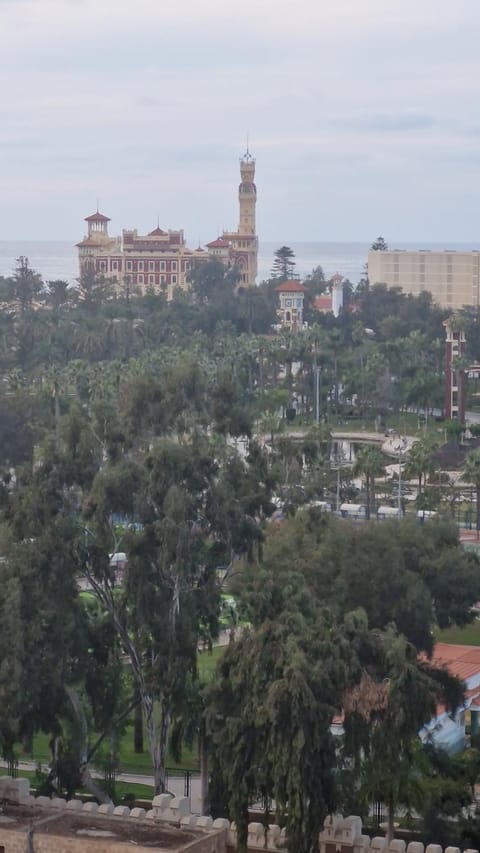Property view